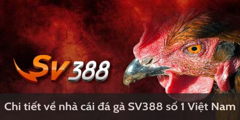 Đôi nét về đá gà trực tiếp SV388