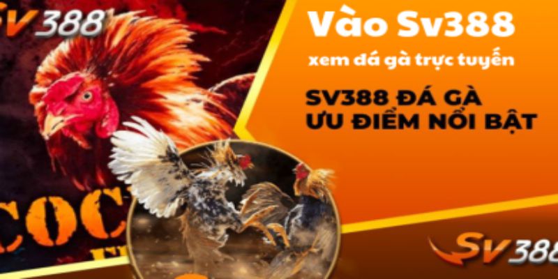 Ưu điểm của link vào SV388 có nhiều game