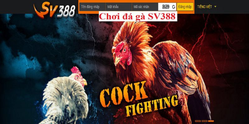 Nguyên nhân có tin đồn nhà cái SV388 lừa đảo