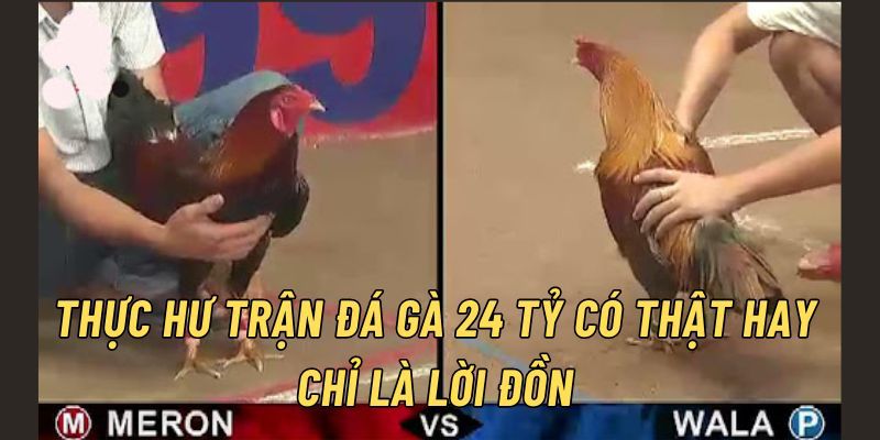 Dư luận nói về trận đá gà 24 tỷ