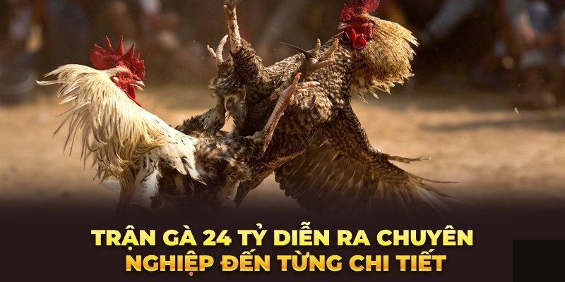 Hai sư kê trong trận đá gà 24 tỷ